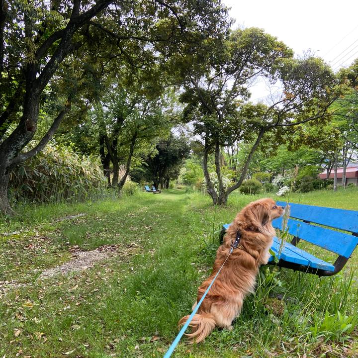 4f6c9aa3 cf98 49e9 af33 3adcbac2735f 1651198603071