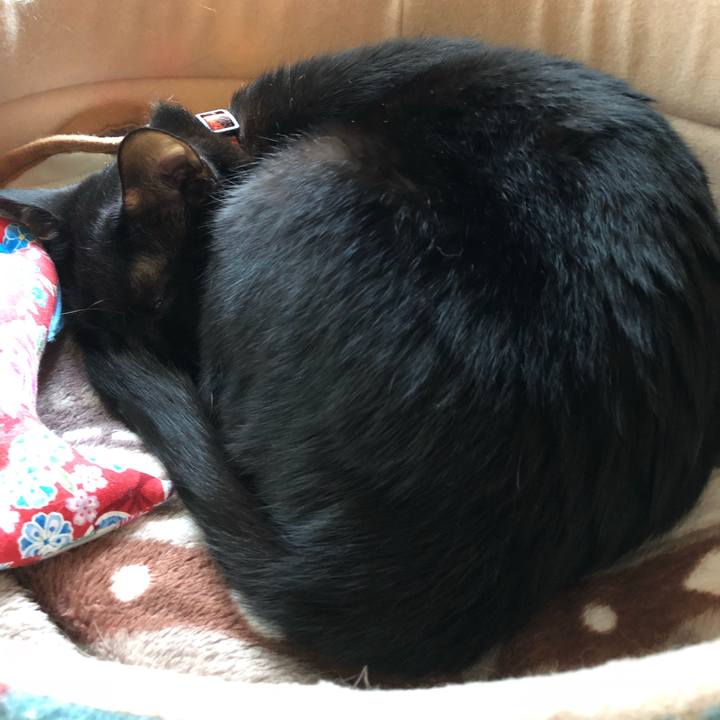 4f6c9e3f 8d3a 4aff a774 37cb3e6fc278 1538722453723