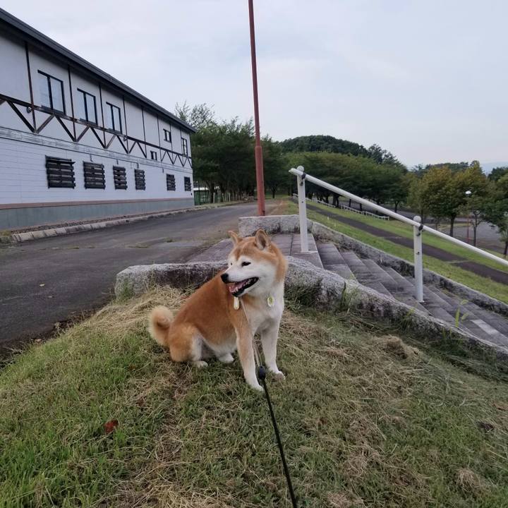 4f6ca4c2 68d2 4afa a957 ffbd47695f15 1663229718611