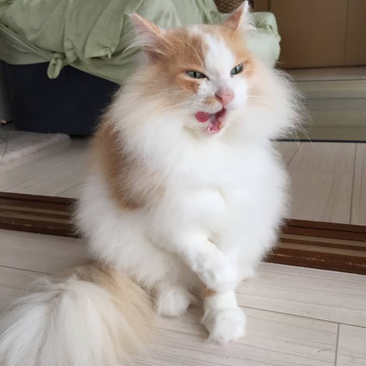 4f6ce528 de20 467a b5f0 f34875dda895 1529616097939