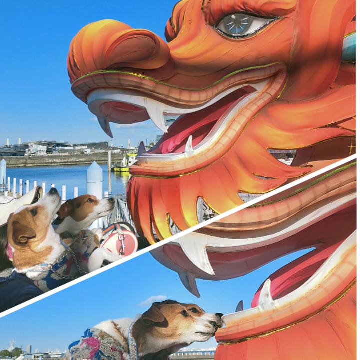 4f6cff40 3a9c 4e50 82f8 ab9b02f0f696 1770625832680