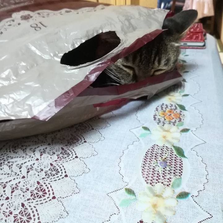 4f6d0aa8 d082 47d9 971c 979f9cafae55 1558776950768