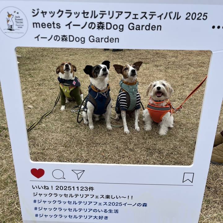 4f6d108f 6d6c 4a9e 8d5e 7b84d27fae14 1763903106747