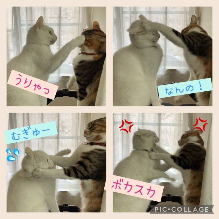 4f6d27a1 c57c 4f9e 9d9d b864ab153c7a 1670813546833