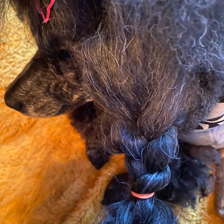 4f6d3840 a3ab 48c0 bfff eab66de94f9d 1669184680509