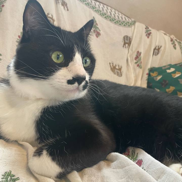 4f6d47ee e4ee 4f1c b74f 677ba87e804b 1711930578917