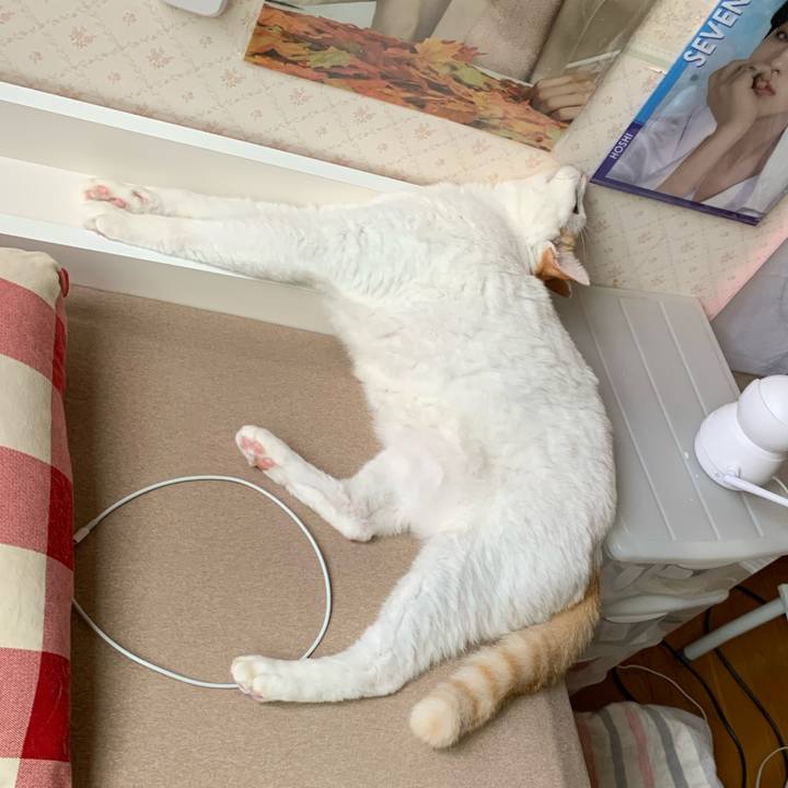 4f6d6bde ed66 4f4a 9267 99a772170f1e 1626944016415