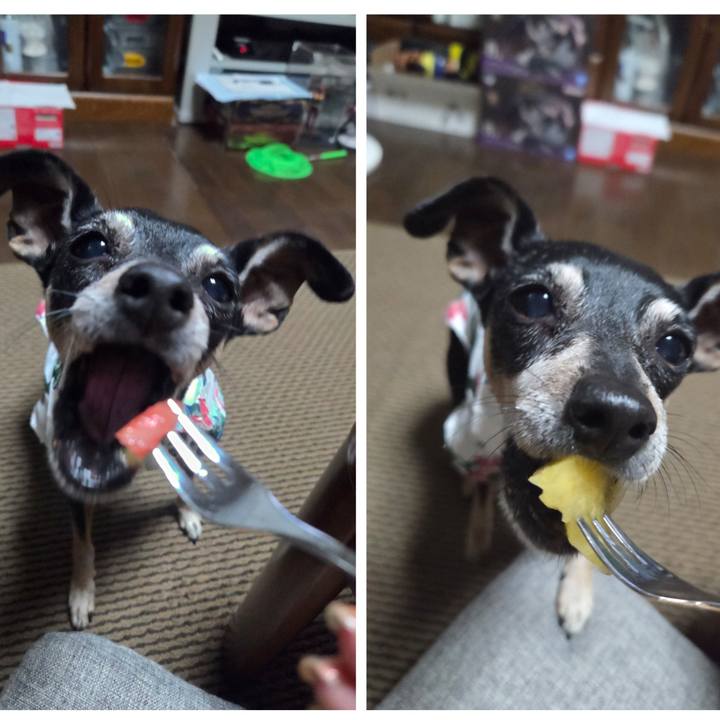 4f6d9755 da69 4235 8127 5fa7e07639a8 1754309928779