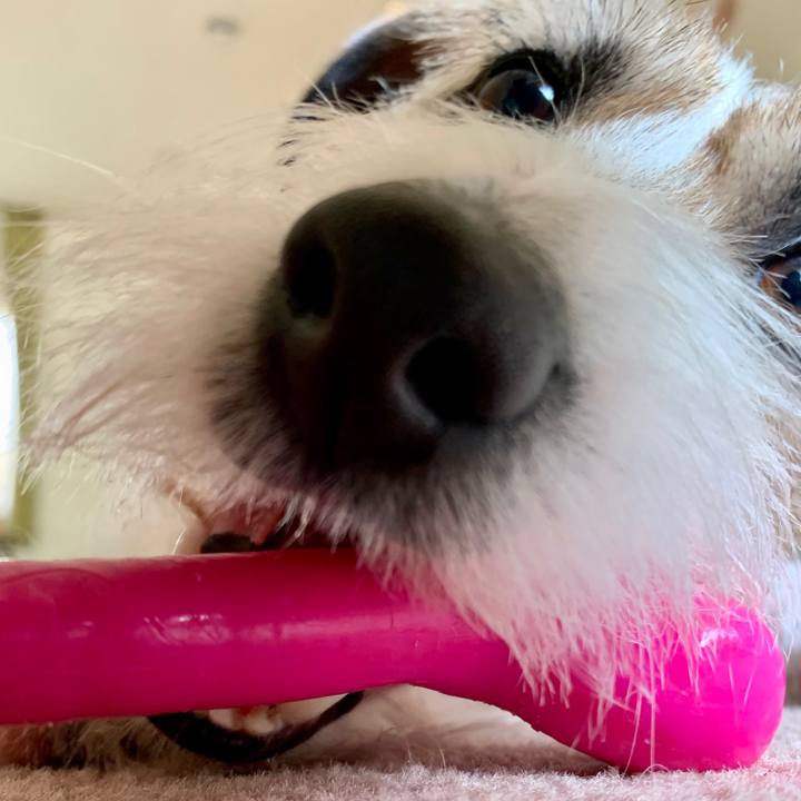 4f6dca57 7df0 4c2d 9b25 00a344461ce5 1618716058621