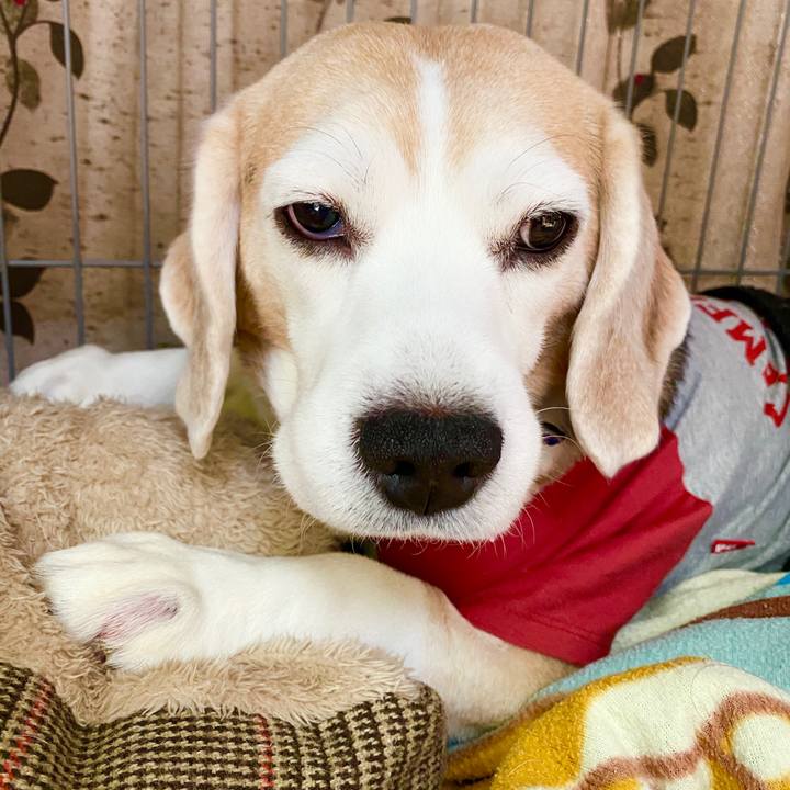 4f6dd13b 0958 4562 ac97 041a900a4cc5 1588912469066