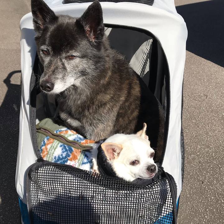 4f6e0f90 055b 4f2b ad1e 3fad6f1cea97 1572073610126