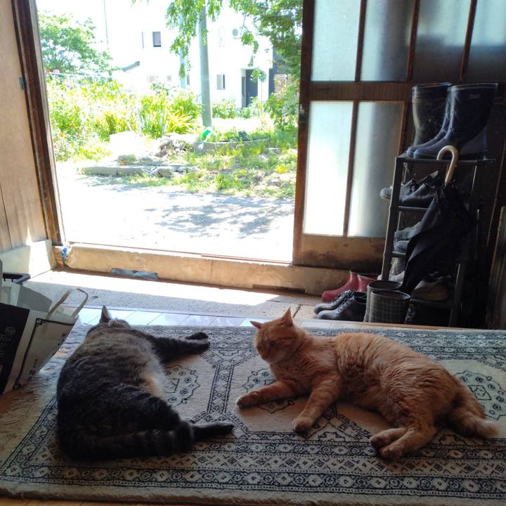 4f6e1fa6 2026 4b6a 9f14 802ede885795 1723186478824