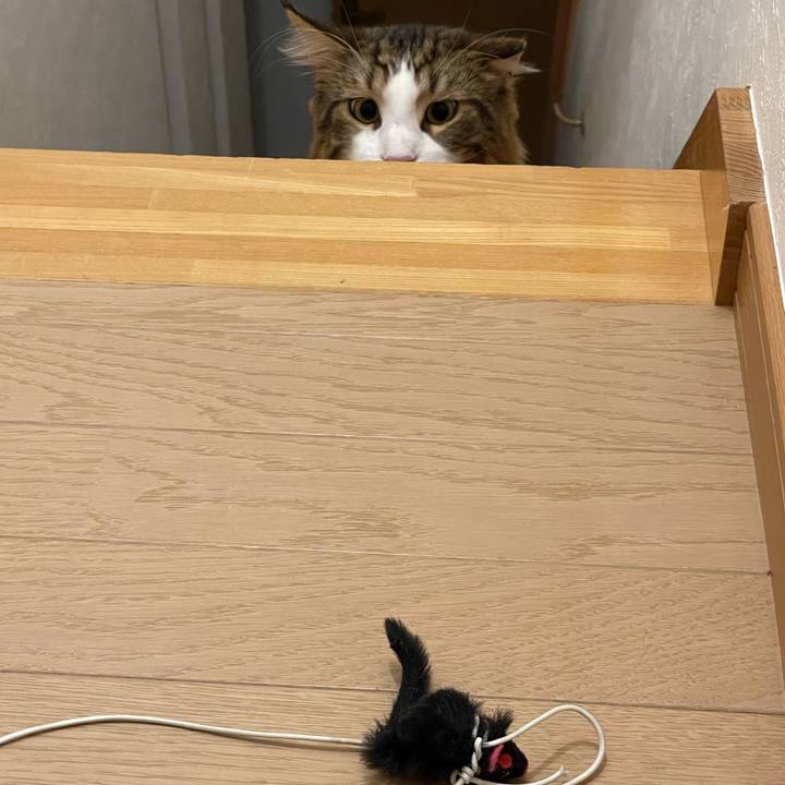 4f6e6271 4832 4b0e bff1 884ebfb8b6cc 1660040202035