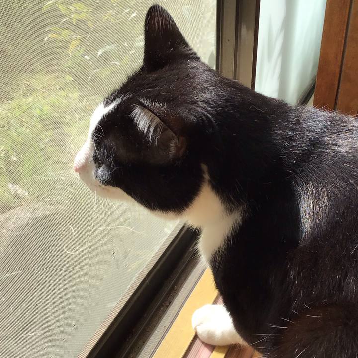 4f6e9a15 0bbb 4533 ac2b b7098353bbcc 1712451371741