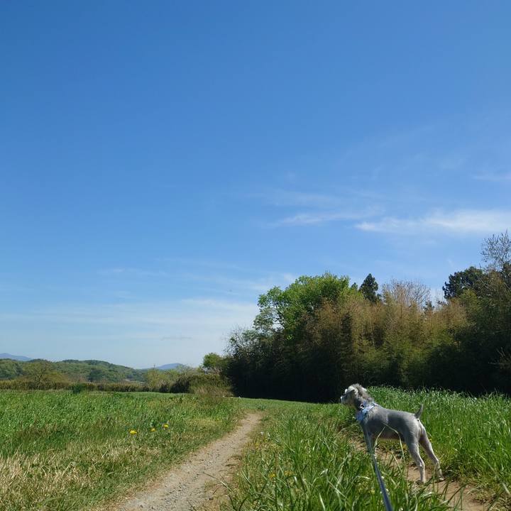 4f6eb449 a564 4528 b7ea 3d1bf6a09f22 1777095470055