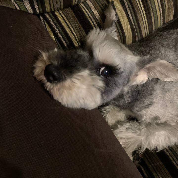 4f6f0ee5 a58f 4b34 89af 5122077a39c0 1654764984338