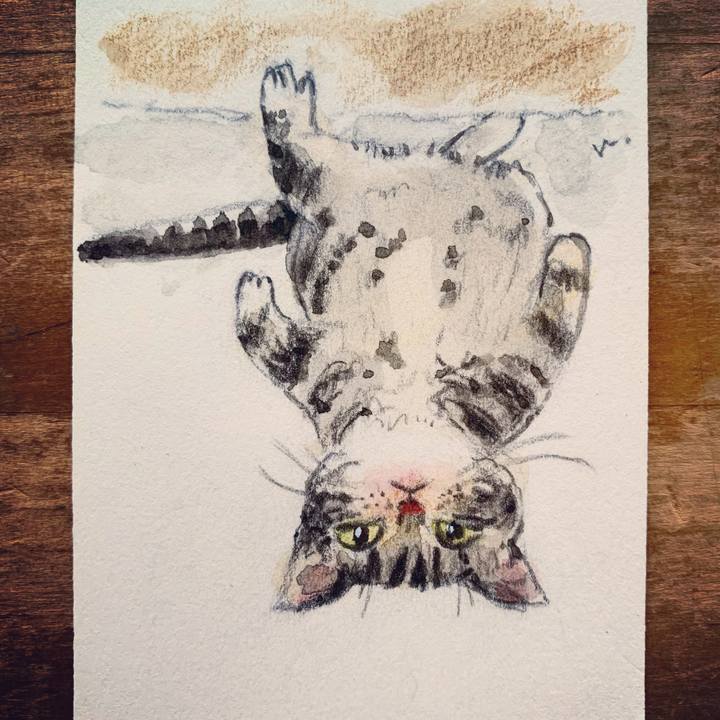 4f6f5857 7358 4e1e b484 095982ebcda9 1607649254934