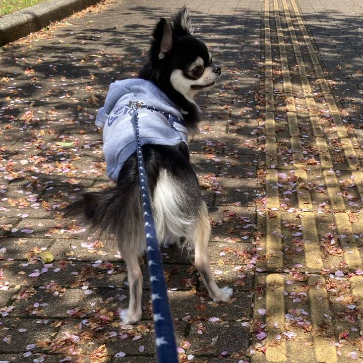 4f6f5b68 431e 4533 9e93 cfd475f78299 1650120899380