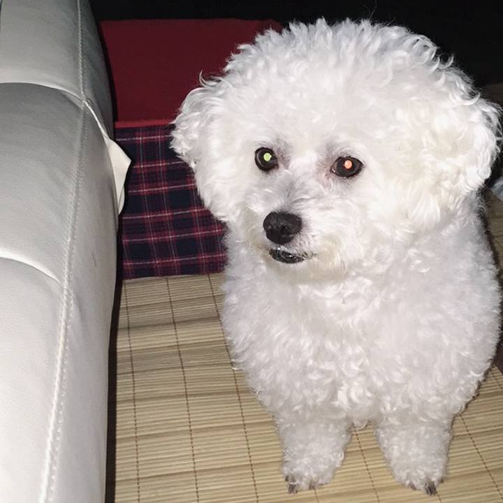 4f6f7bcb e698 42bb a33e 855d498d0985 1535372625460