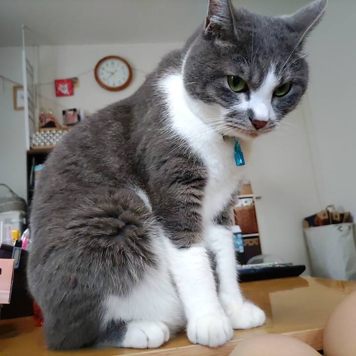 4f6fc516 a33a 428b 8d70 f41aaa4b656a 1719794339225