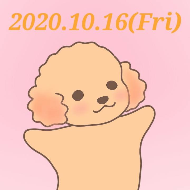4f70220b 95d6 4875 8dc5 041fe047cdaa 1602852183018