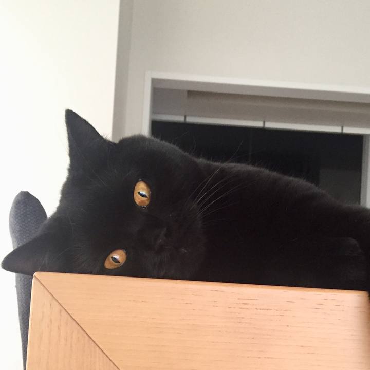 4f703165 ad7e 4935 a26b fa2034a6eb31 1562915957856