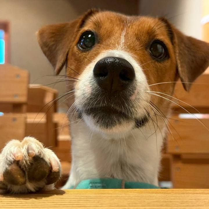 4f70f78e 0acc 4812 b769 ae2b92c5c568 1757857102334