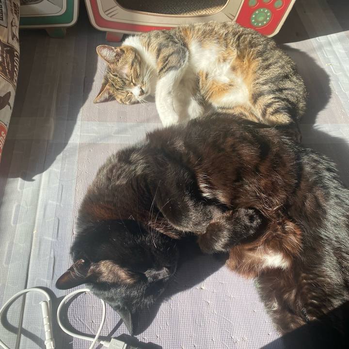 4f70fada c3e9 40df a889 e53c984d0a98 1639530330403