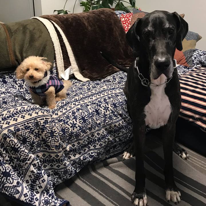 4f70fc4b 01a9 4d68 8ebe 485217038cef 1543790329102