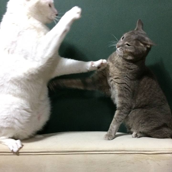 4f7140c5 fb69 4456 b783 b6906383eb25 1539573659882