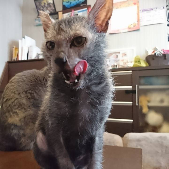 4f71584d efe7 4c75 a563 a48896c5a24d 1517878822630