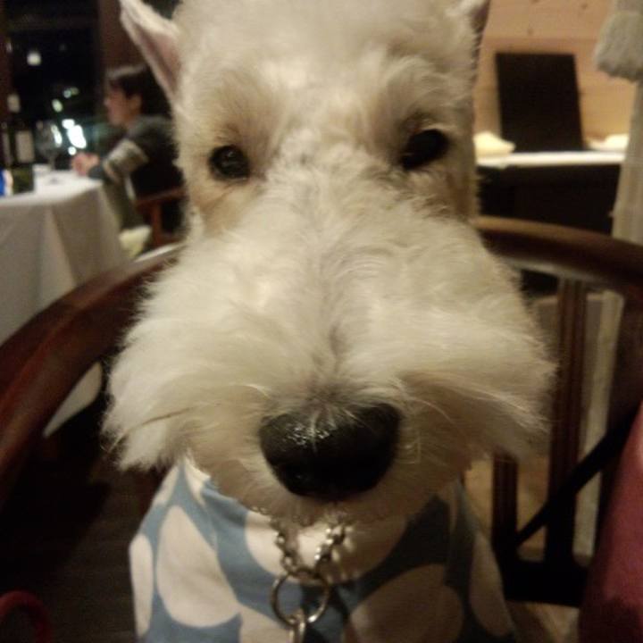 4f715de2 7d49 4331 bd96 ec710318a7b4 1594696983857