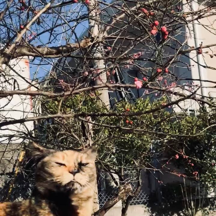 4f718e41 78a3 49cc 80e4 ae9cfa4261d2 1740448894924