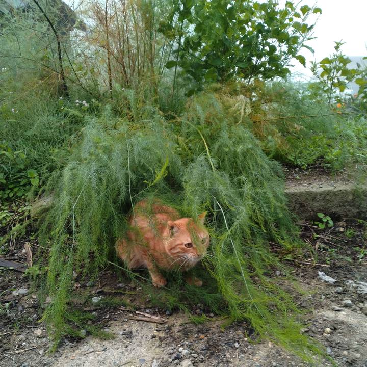 4f71a1c5 6aa7 4e6e 82f0 6f3e70d73559 1664660346666