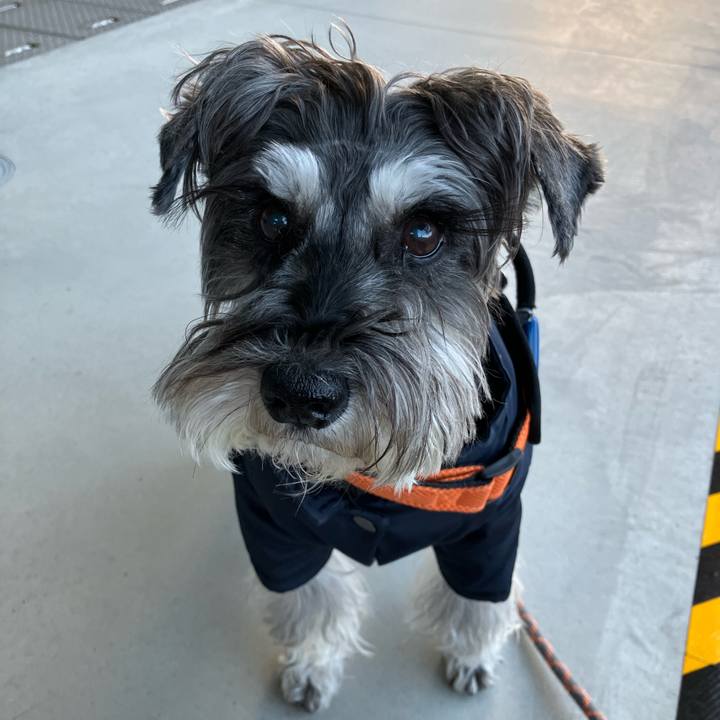 4f71f18f af30 43e0 a95f de6d1e864a8c 1767134166216