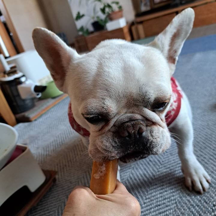 4f71fa44 4097 4f08 bd86 377c03b44a99 1712964081113