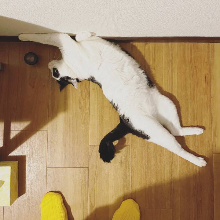 4f722277 657f 44c7 a616 7653b8530a59 1641909347097