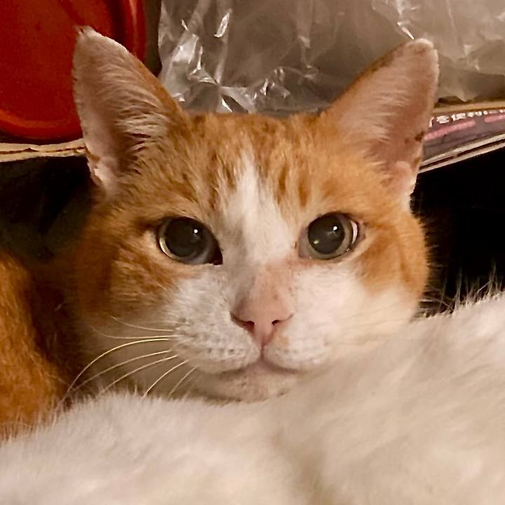 4f722e78 5b68 4ca2 b13e f0221953a7a2 1719448864277