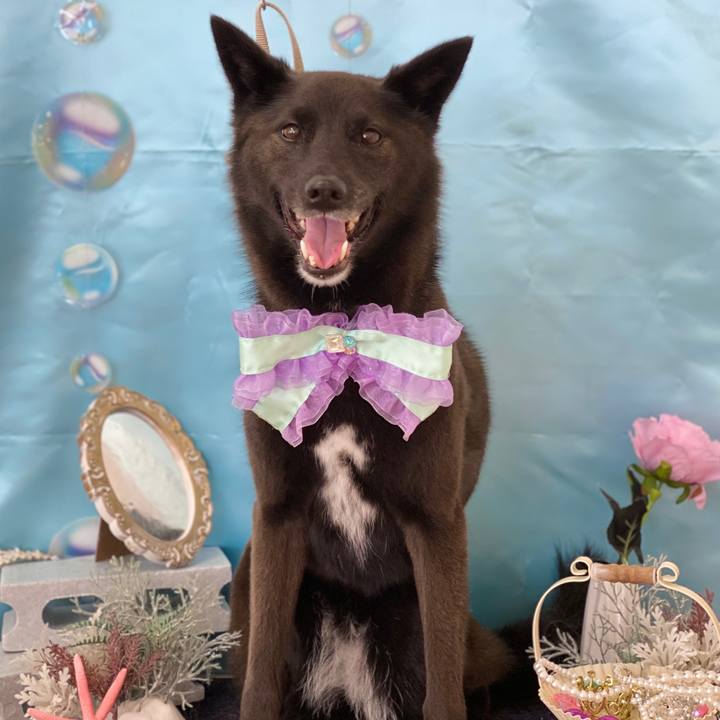 4f7230b7 7a75 4a3e 896e 27f2e8edf29d 1694358184599