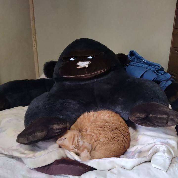 4f723f2b 8eb8 4008 a7ee 518d2b2117bb 1741852804185