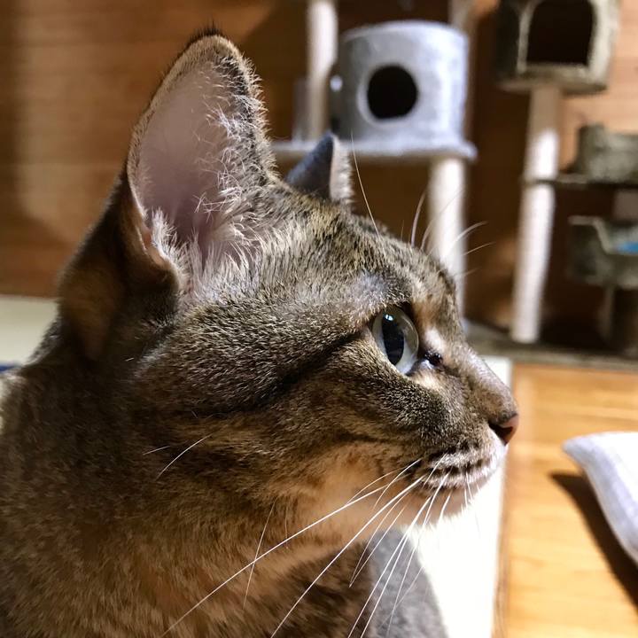 4f7267bb ec39 4881 8d1d b329c4e4e52c 1537020165475