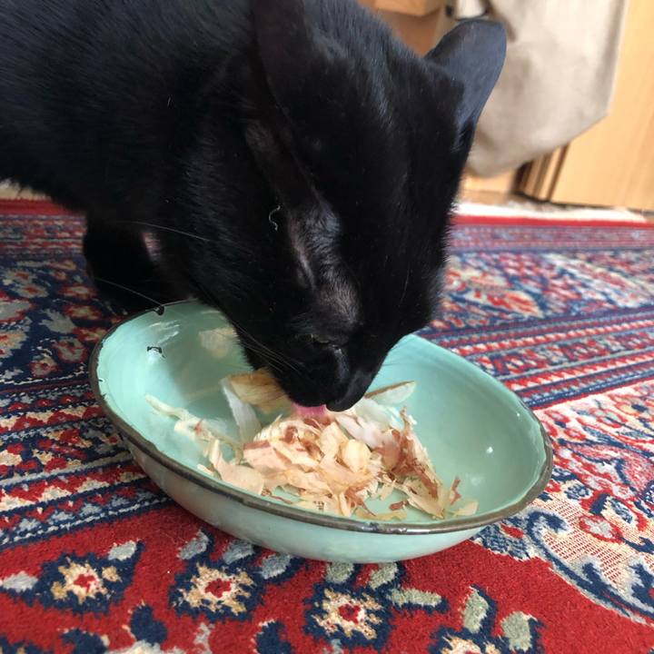 4f726ece 6252 46de a878 aeb8bb798f83 1555735616389