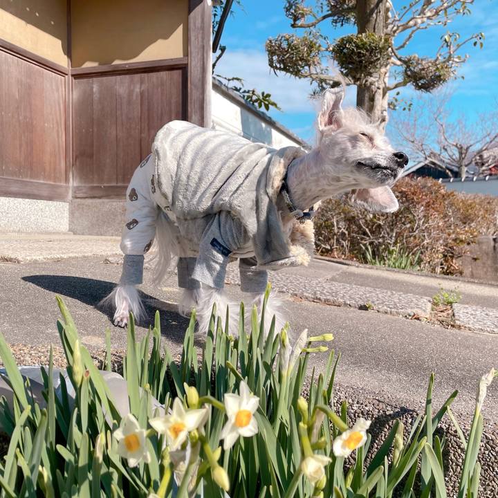 4f7272f8 c4dc 409c 8f0a 61656f6cfea1 1766980116014