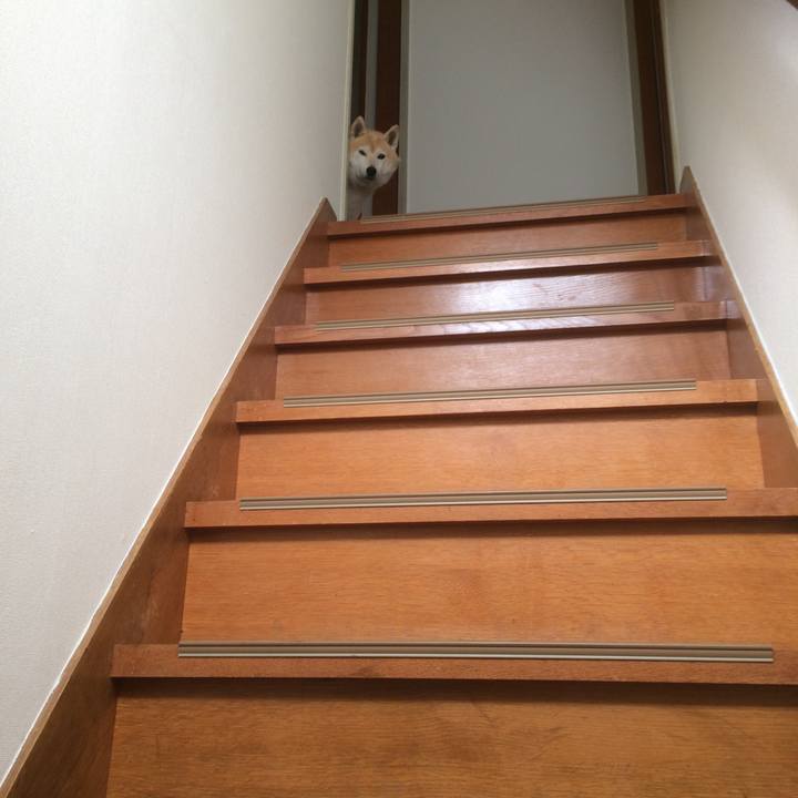 4f727cb3 e554 40ef 9688 6dc968784a35 1562856876443