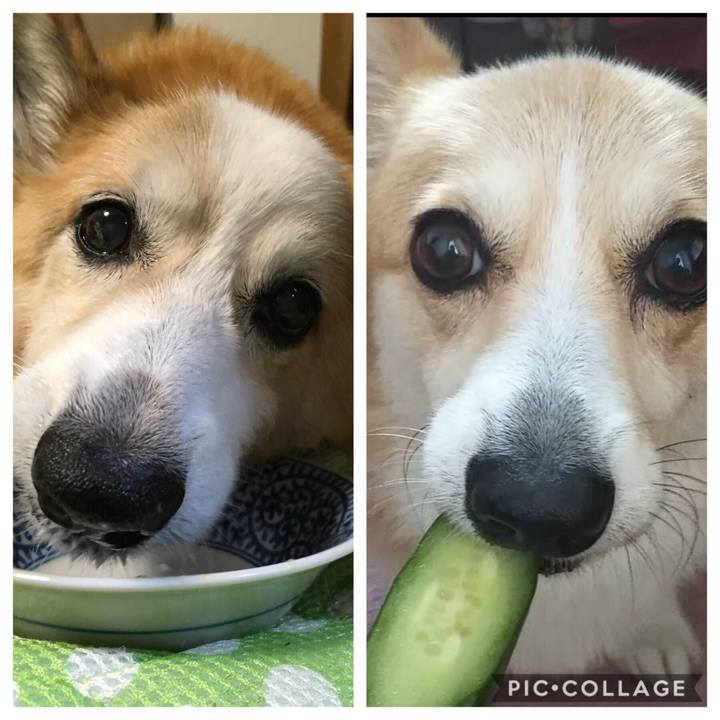 4f728fb3 3ad4 4e12 bc71 f6291fc4d14f 1574002881713