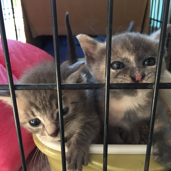 4f72c991 109e 46b1 b89b ccd63eec05ca 1570674308399