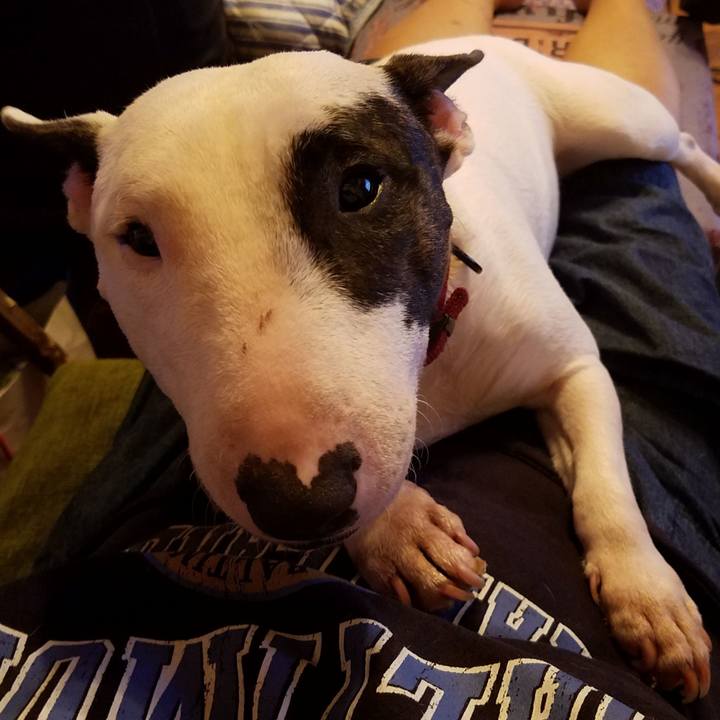 4f731870 4954 4cfe 870d 693d862e81d7 1538238916872