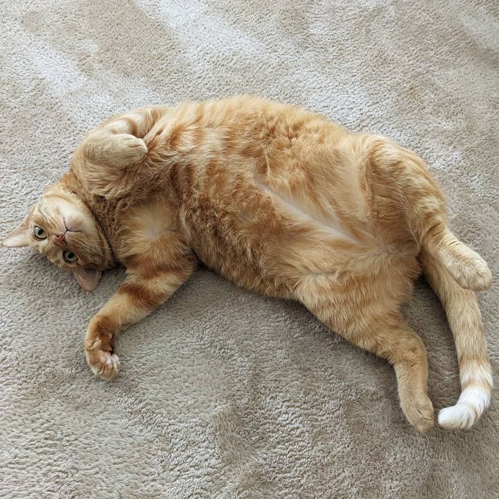 4f7320ea ecbb 4e99 a7cd b6dd8a5700ba 1689561673047