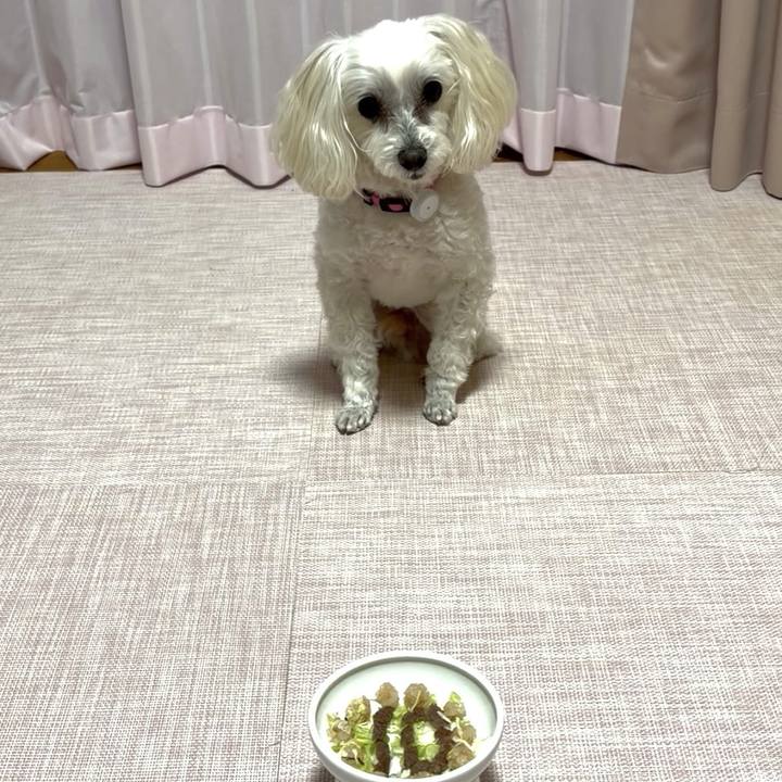 4f734734 d791 42ee 95be f6d5dd4e9f91 1772026741419