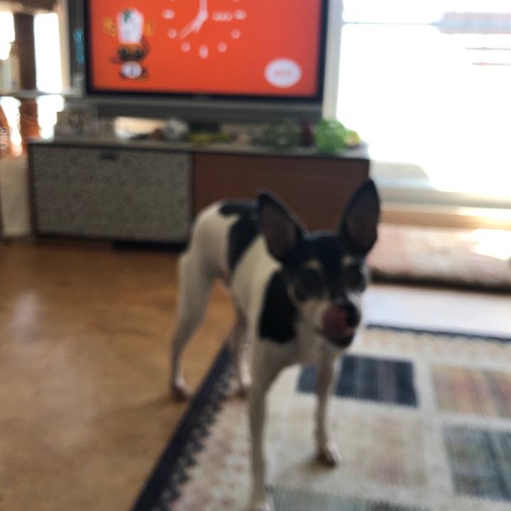 4f73736c 7369 4db7 9c9c 77601cbec97d 1569207255839